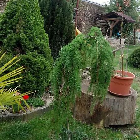 ゲストハウス U Formana Stráž nad Nežárkou