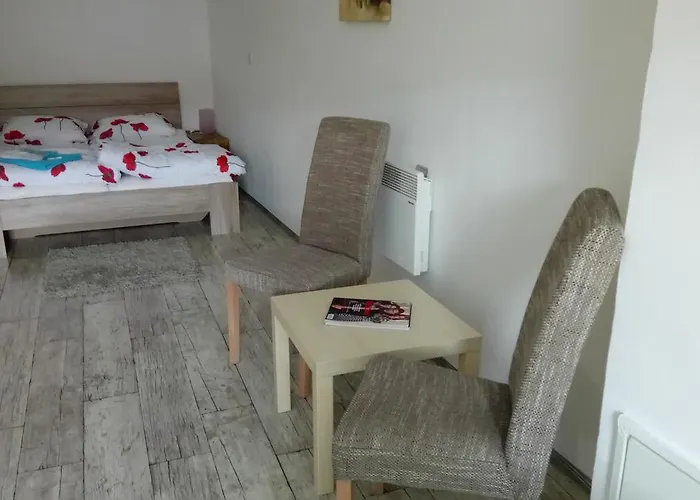 Pensjonat U Formana 3*