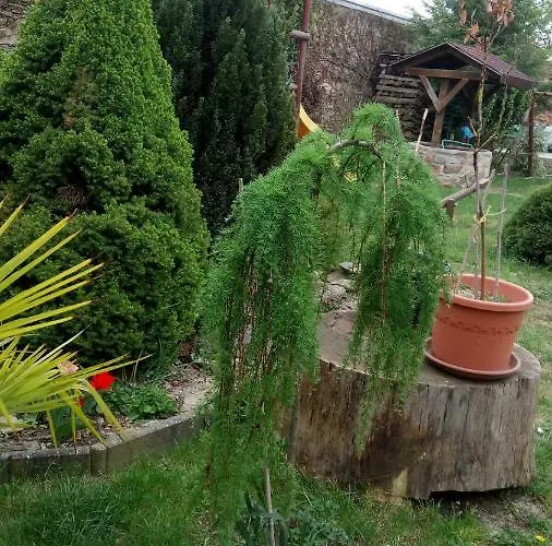 Pensjonat U Formana Stráž nad Nežárkou